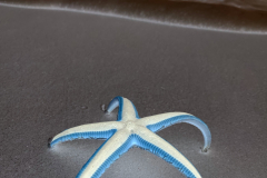 Standing Purple Starfish - Negative