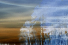 Murky Waters Reflect Blue Trees - Negative